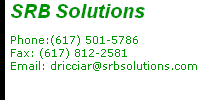 SRB Solutions, Inc.  Phone:(617) 501-5786      Fax: (617) 812-2581 Email: dricciar@srbsolutions.com 